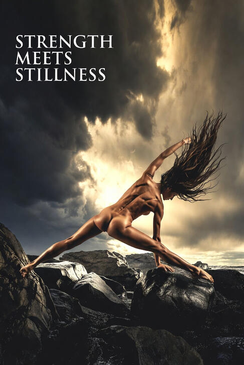 stillness stillness